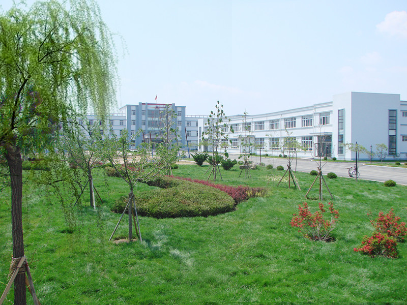 歡樂(lè)奧龍人，激昂青春夢(mèng)